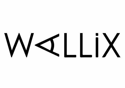 WALLIX Positionspapier Digitale Identitäten